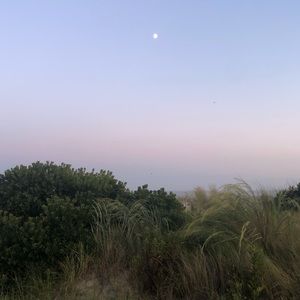 Meet your Posher, Hope